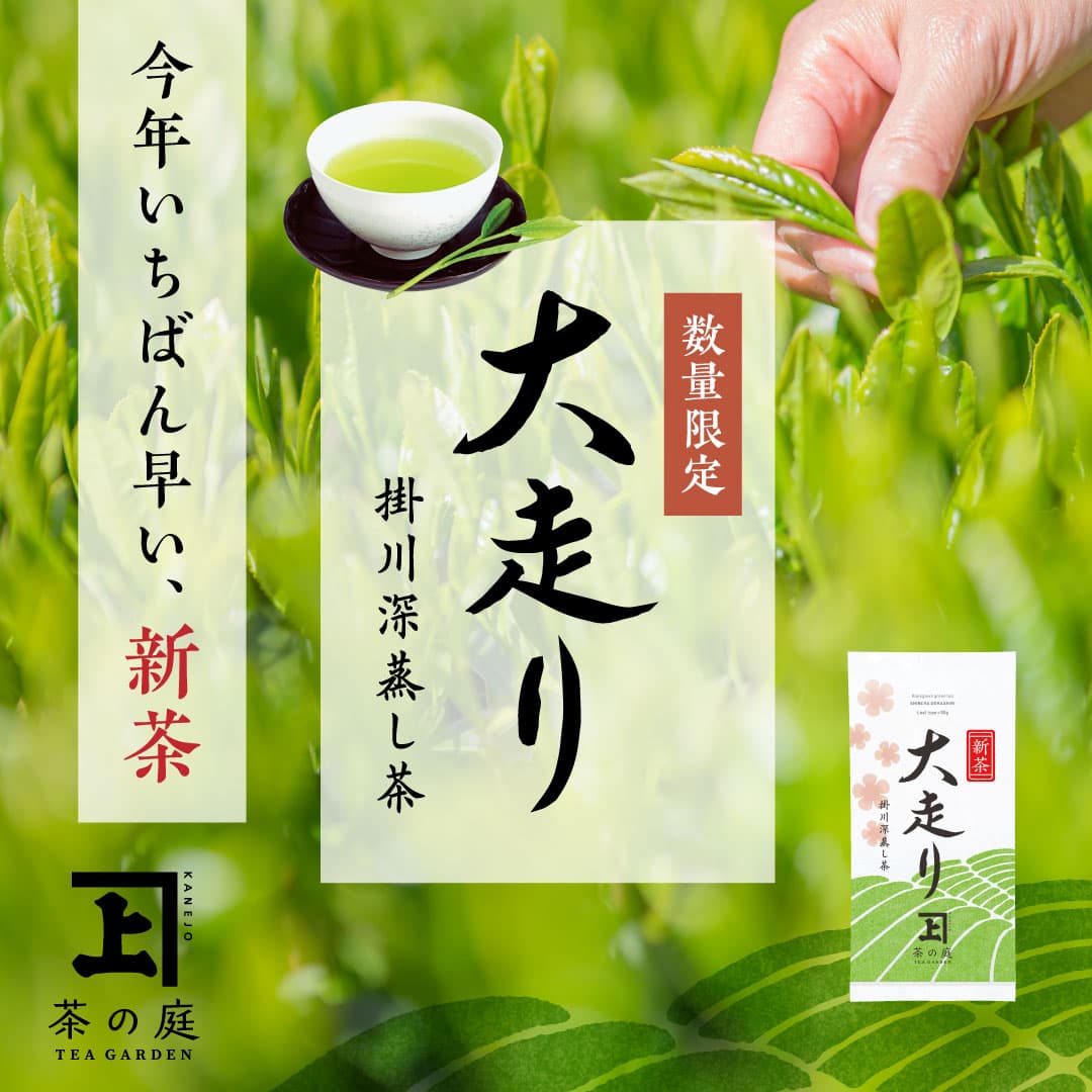 Tea-studio　イラスト入り深蒸し茶　未使用　専用ページして購入OK◎◆◆ 静岡茶/掛川茶 あきは茶園 / 深蒸し茶スタートセット