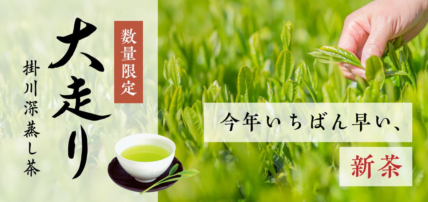 手摘み茶ブレンド特別茶「大走り」