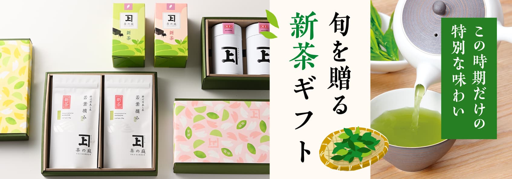 新茶ギフト