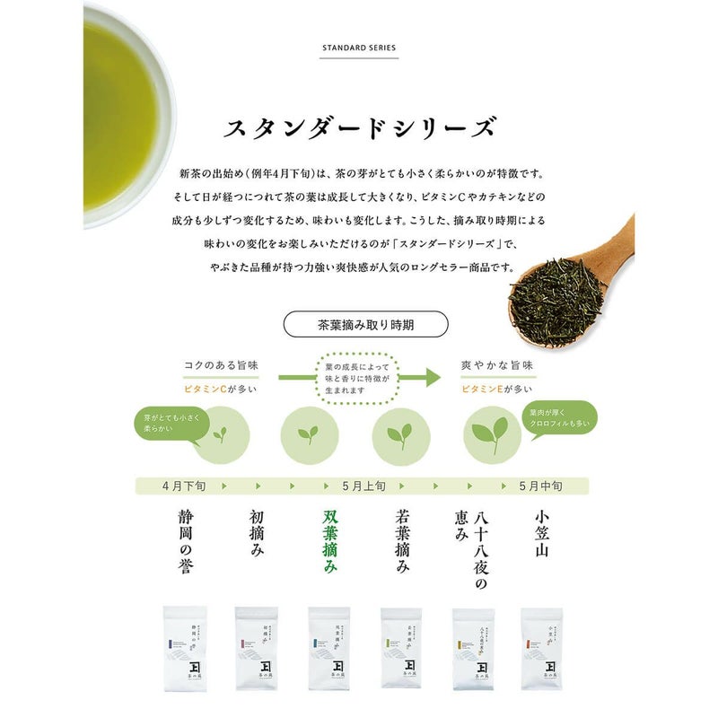 かねじょう 茶の庭 静岡・掛川茶 双葉摘み