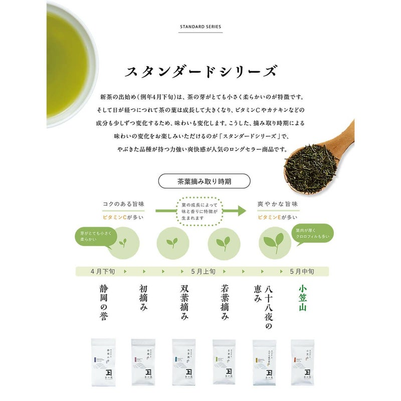 かねじょう 茶の庭 静岡・掛川茶 小笠山