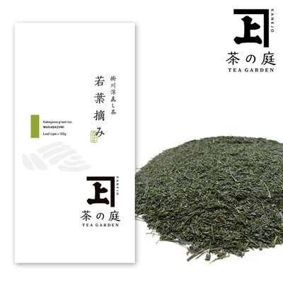 かねじょう 茶の庭 静岡・掛川茶 若葉摘み