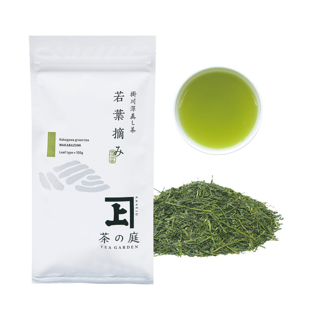 かねじょう 茶の庭 静岡・掛川茶 若葉摘み