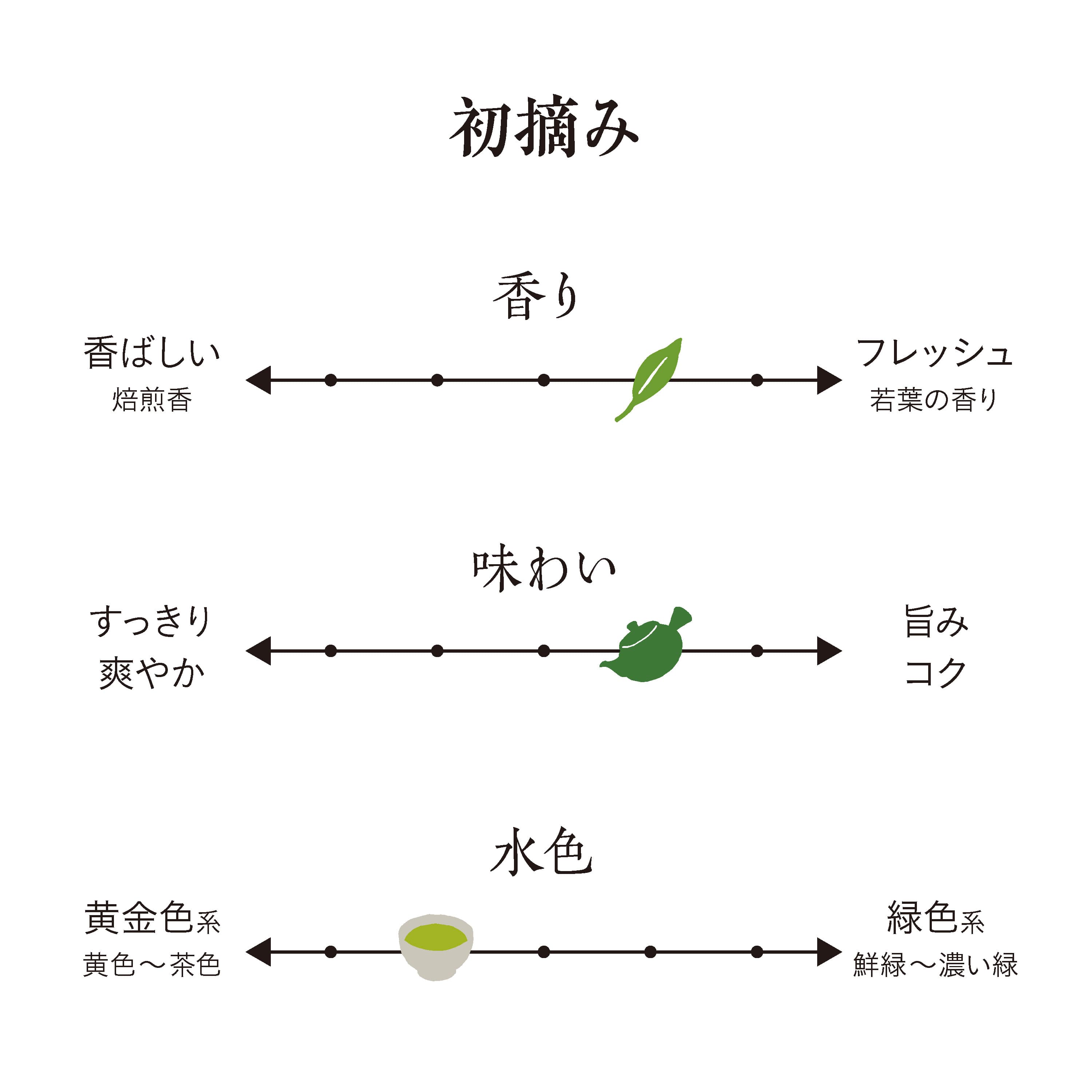 2026新茶】【化粧箱入り】新茶 初摘み200g缶×3本 | 茶の庭オンライン