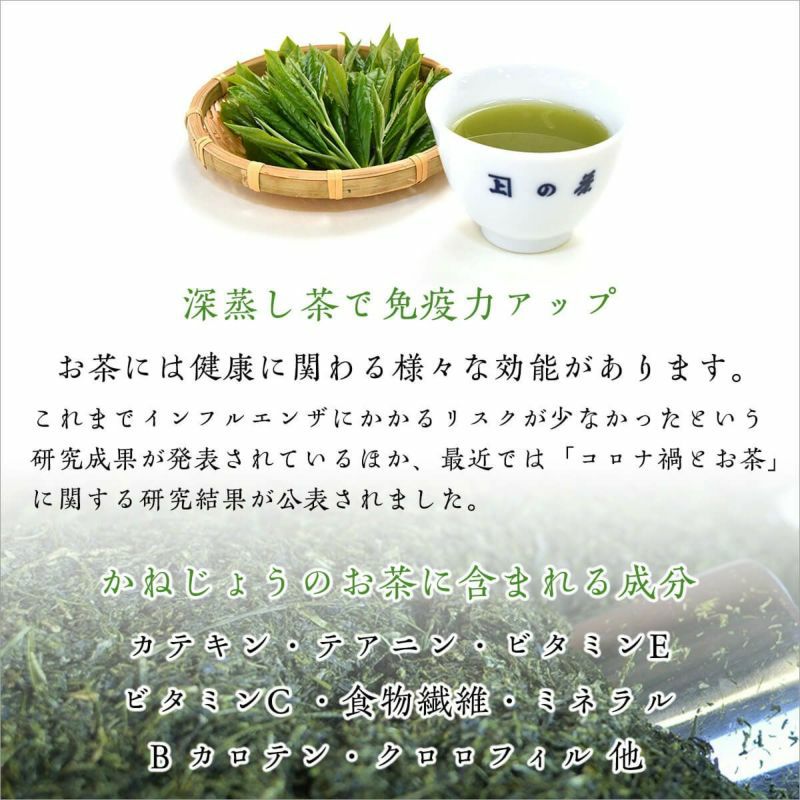 【静岡・掛川深蒸し茶】水出し茶ティーバッグ飲み比べ詰合せ 化粧箱入り