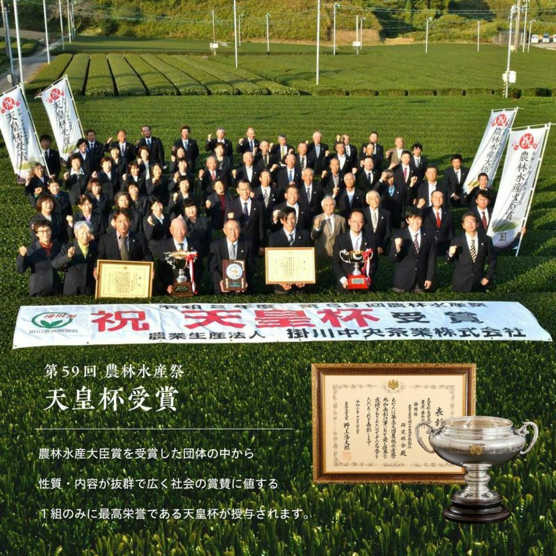 【静岡・掛川深蒸し茶】水出し茶ティーバッグ飲み比べ詰合せ 化粧箱入り