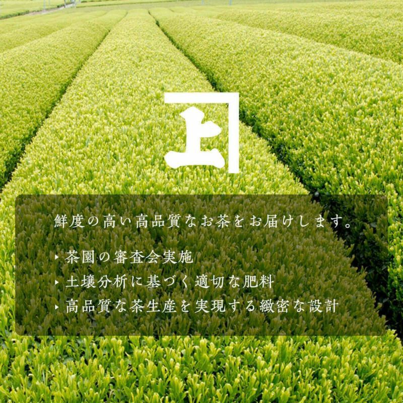 【静岡・掛川深蒸し茶】水出し茶ティーバッグ飲み比べ詰合せ 化粧箱入り